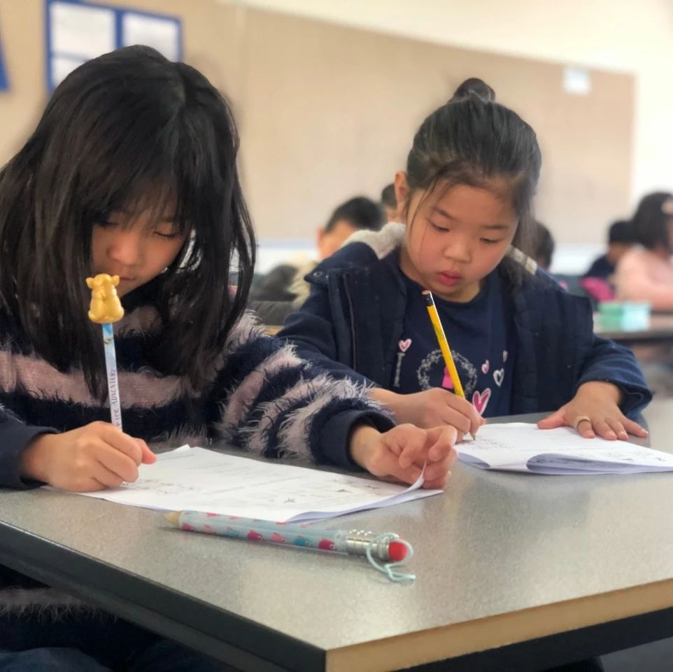 新金山文化学校招收2020年精英班和高级中文班学生了！